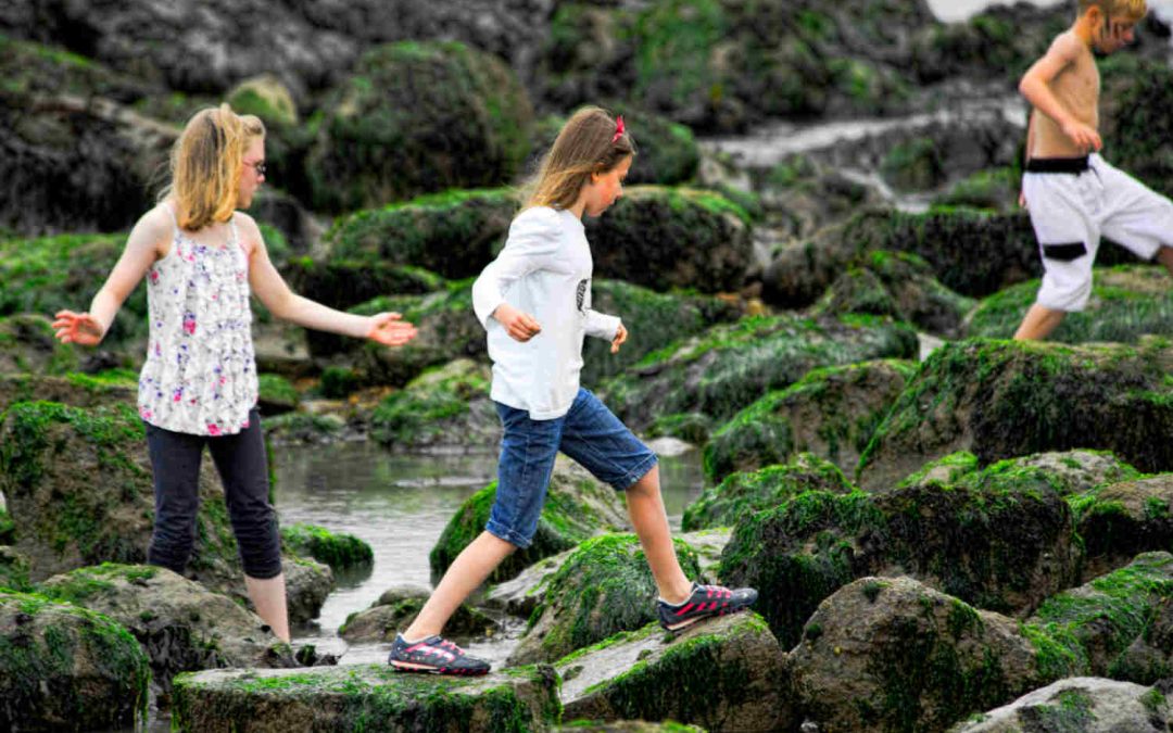 Formazione: Scuole Laudato Si’