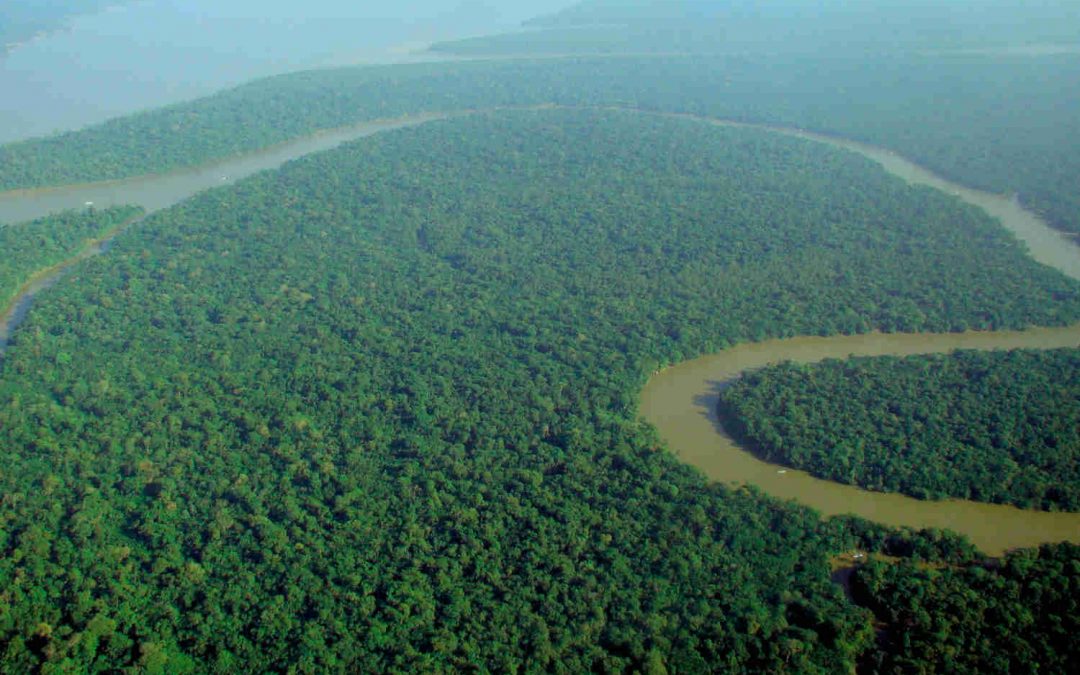 In Brazil, responding to Laudato Si’ as a community