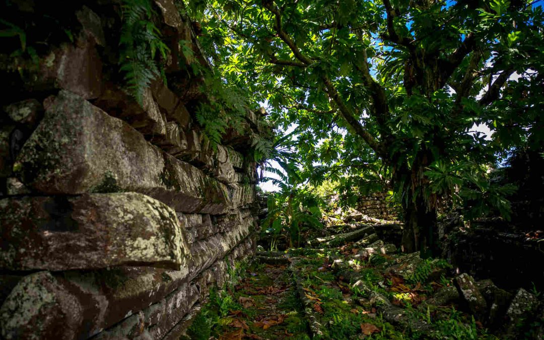 Preghiera e riflessione con la natura: passeggiata Laudato Si’