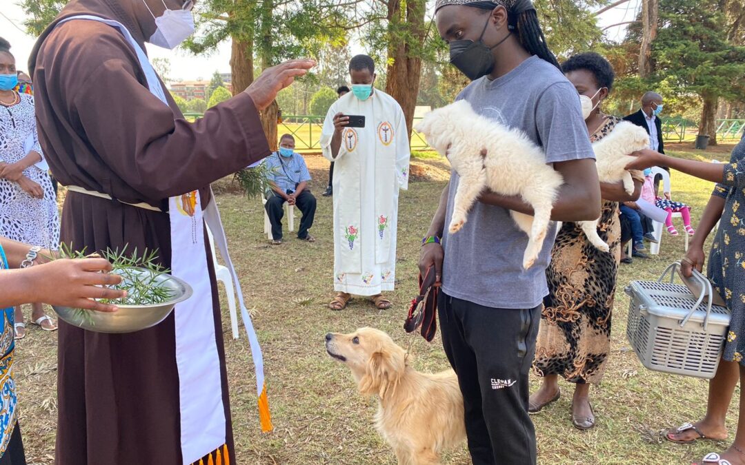 Animal blessing in modern times